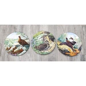Vintage P. Part of Braithwaite Game Birds Collection by Royal Grafton China 3